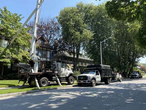 Bucket truck and a Kent Tree and Landscape branded dump truck towing a wood chipper, parked on a tree-lined street in front of a building with a sign reading Becker.