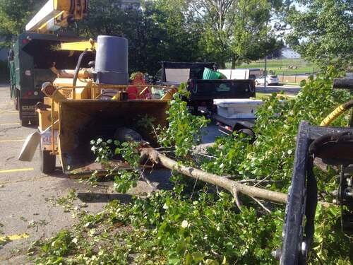 Wood chipper hopper loaded with a large branch, parked in a lot near a school athletic field, a dark green dump truck with tree-company signage visible in the background.