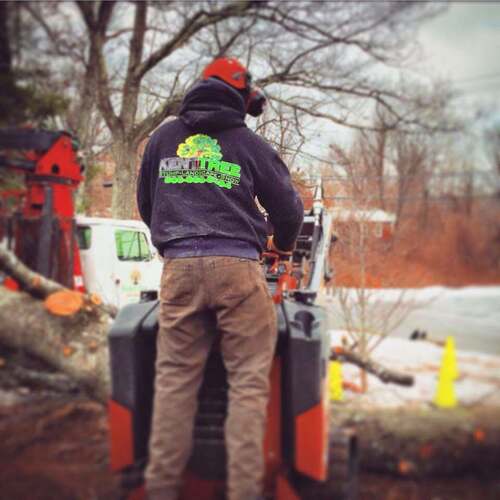 Worker wearing a Kent Tree Stump Landscape Snow branded hoodie, standing on a mini skid loader near a snowy waterway with orange safety cones.