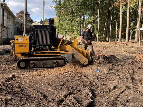 Worker in helmet and ear protection operating a yellow Carlton stump grinder on a cleared, wooded residential lot, house visible in background.