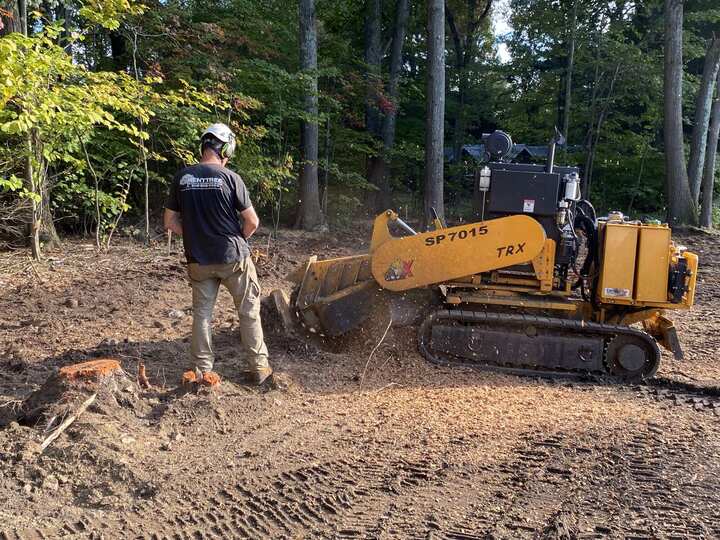 Worker in a Kent Tree branded shirt operating a large SP7015 TRX stump grinder, wood chips actively flying, fresh-cut orange-marked stump in the foreground, wooded lot.